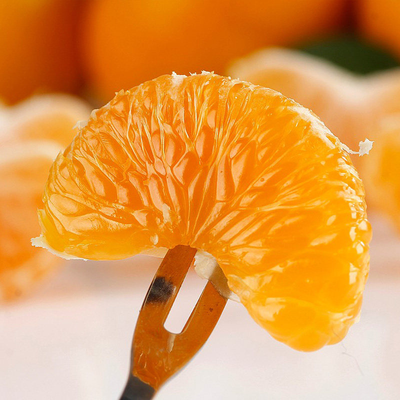 重庆江津玫瑰蜜柑桔子橘子水果新鲜蜜桔柑橘净重9斤整箱包邮预售