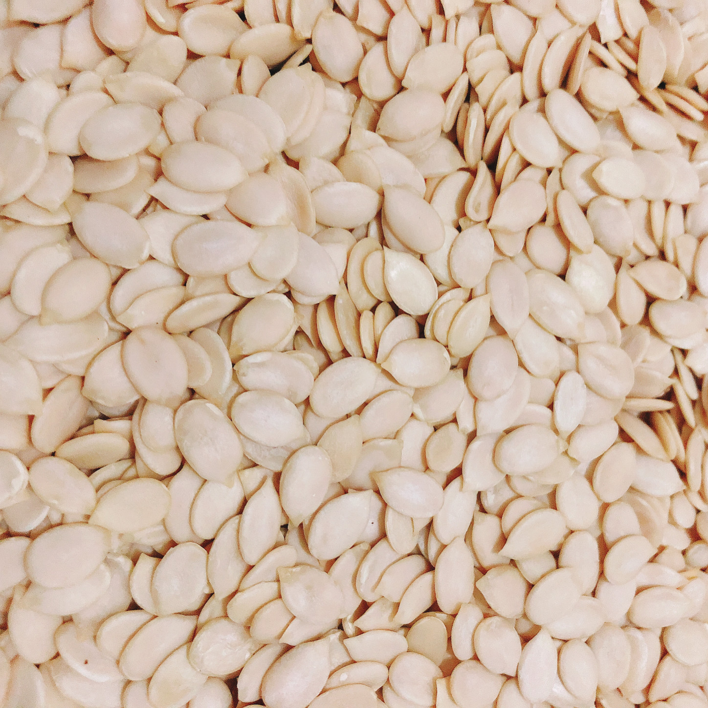 新货生西瓜子仁无壳黑西瓜子仁白仁大片坚果烘焙月饼馅料原料包邮