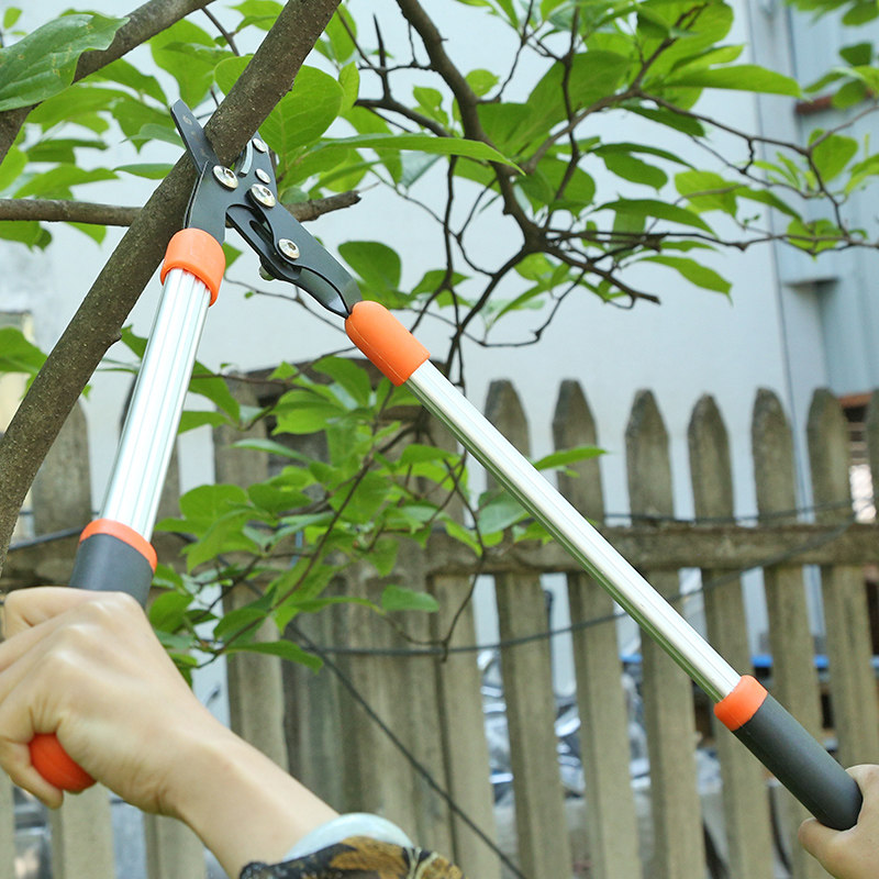 剪枝剪刀果树绿化园林园艺树枝修剪神器修枝剪刀