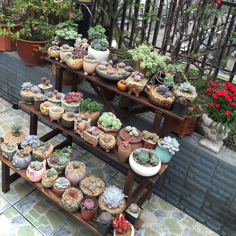 防腐三层多肉展示架桌子兰花专用花木阶梯落地式花架