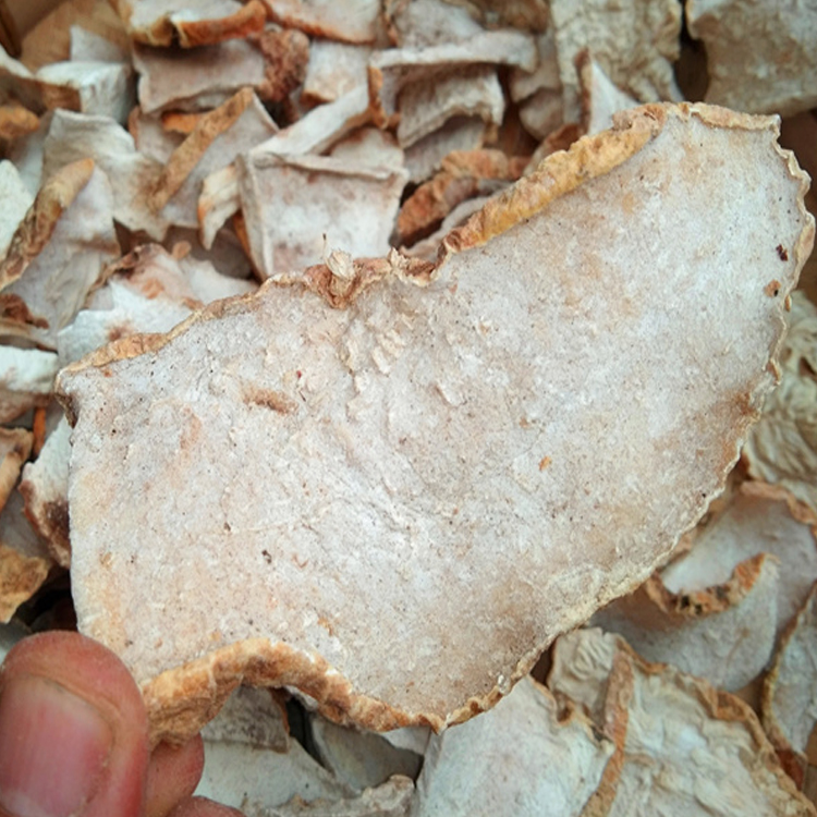 贵州野生中草药材苦金盆金腰莲雪胆蛇莲苦丁板盘传统滋补品其他