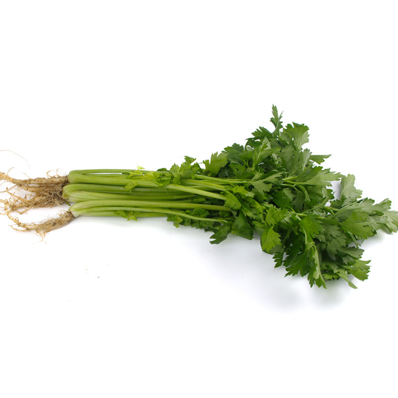 药芹芹菜500g情意绵绵黄芹新鲜蔬菜健康美食沃鲜汇菜市场生鲜