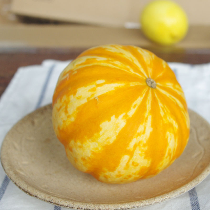 迷你小南瓜1枚 新鲜蔬菜农家种植300-350g万圣节礼物 沃鲜汇