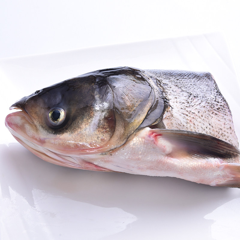 花鲢火锅煲汤花莲老店十年鱼头鲜活新鲜活左右淡水鱼类