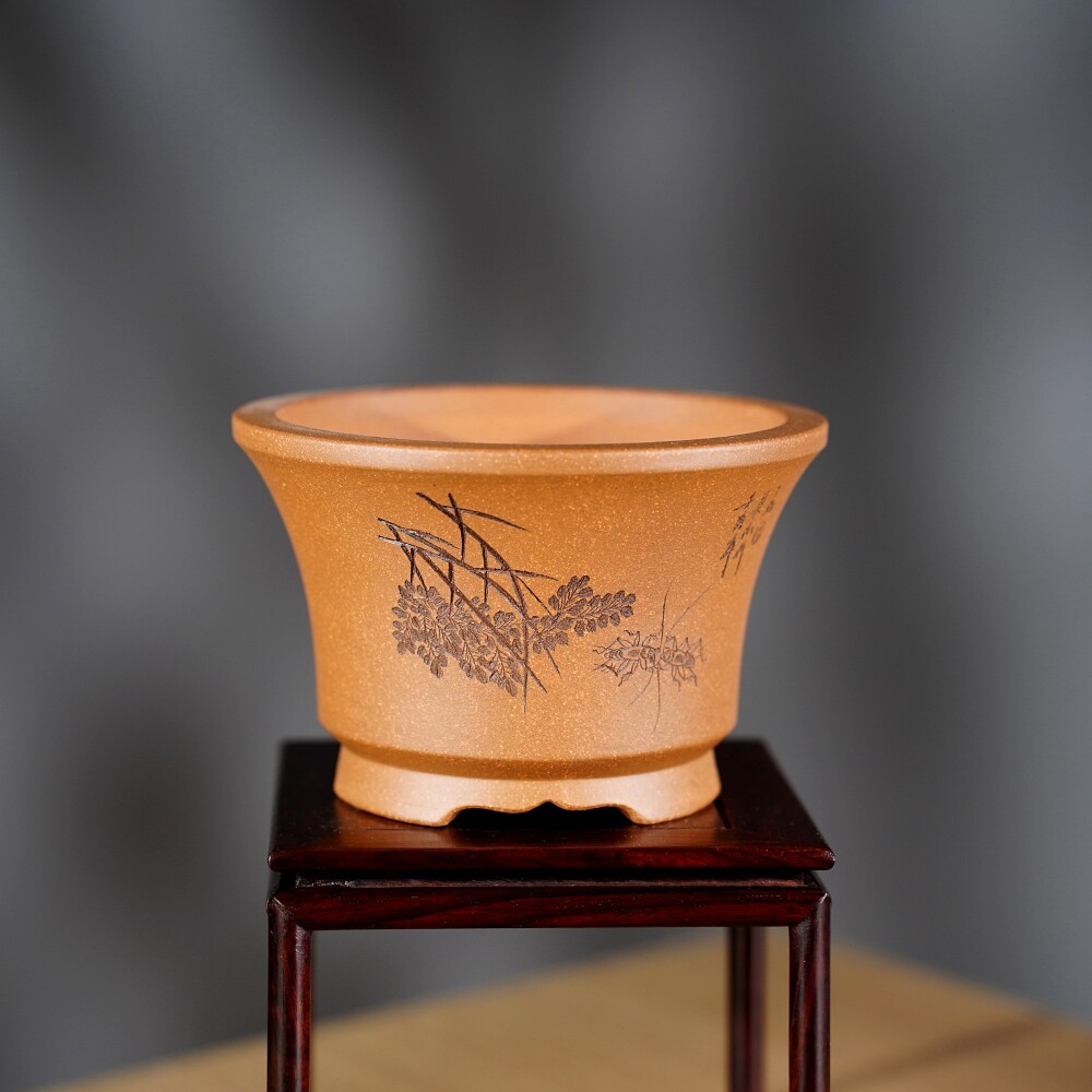 紫砂微型花盆,给绿植一个精致的家