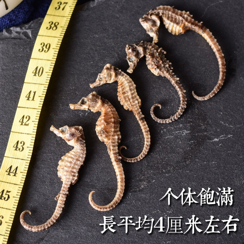 海马干货一对4g本港正宗三斑海马泡酒料滋补煲汤料保健海马中药材