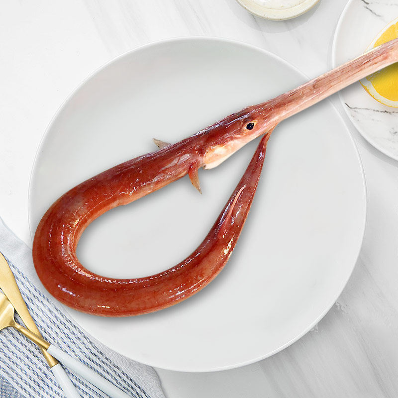 舟山新鲜龙王东海鲜活烟管海鲜水产海龙鱼深海其它