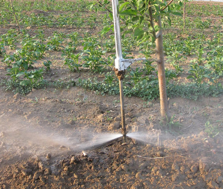 果树蔬菜化肥冲施肥枪打药枪加强追肥器液体高压喷枪农用配件包邮