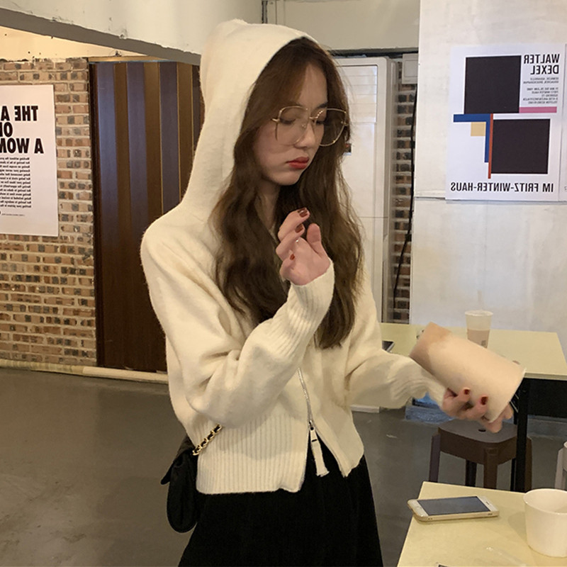 2022年春装新款韩版拉链连帽卫衣针织开衫外套女宽松百搭显瘦毛衣