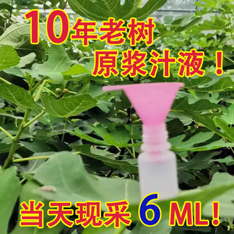 自然农法无花果汁液药用新鲜原浆乳汁树汁瘊子其它