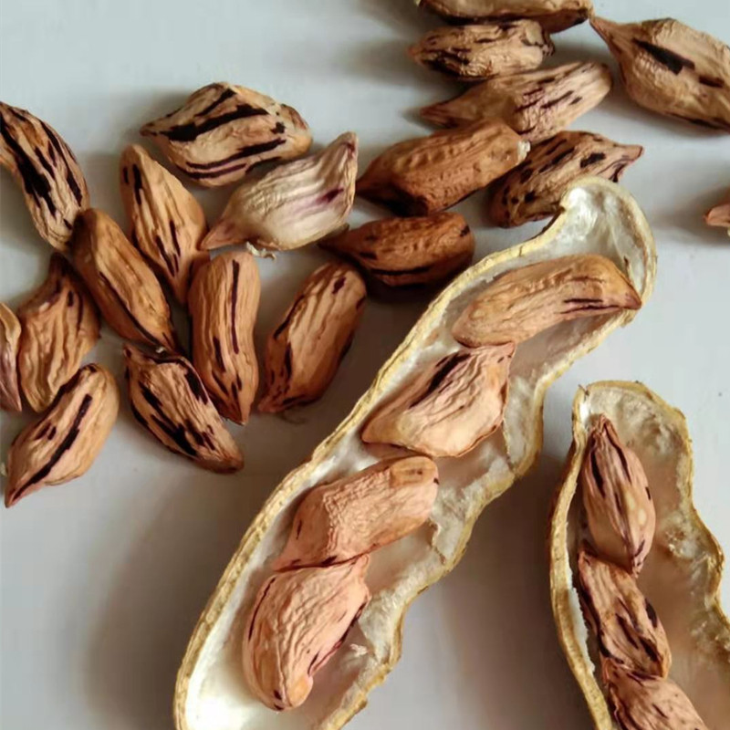 七彩花生云南特产新货瘪籽七彩花花生米零食1斤花生