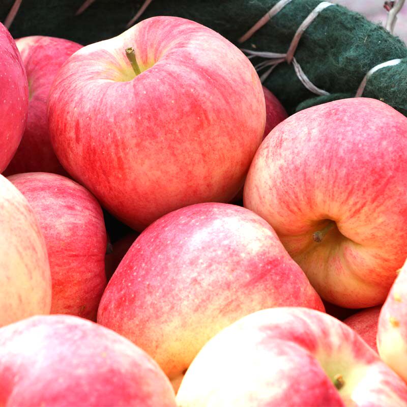 香凝生鲜正宗山西乡宁红富士苹果4斤