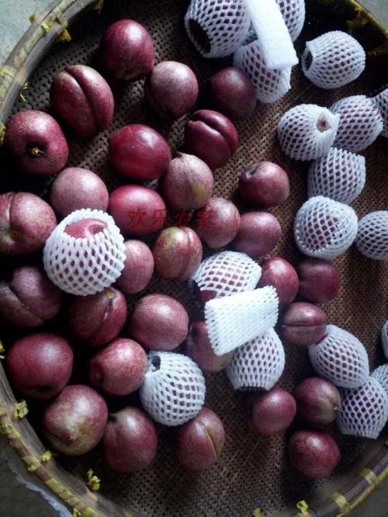 现货发货中如如皋富硒紫桃农家自种现摘现发桃