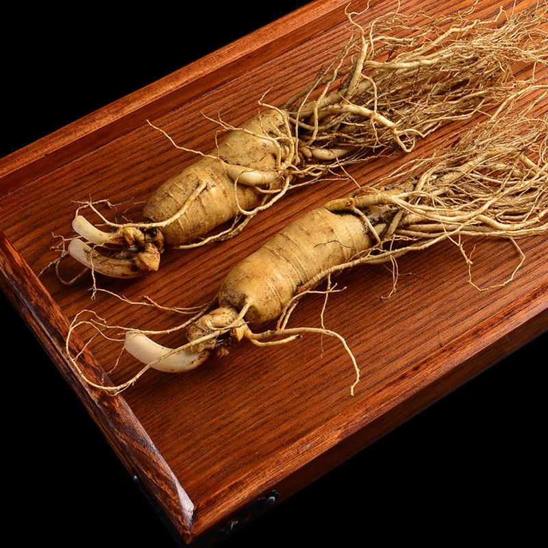 大支两根共140g 东北鲜人参野山参长白山新鲜整枝带土人身林下