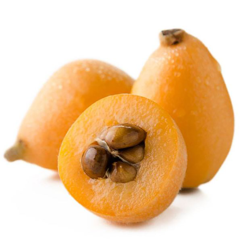 无核砂糖枇杷树苗无籽枇杷苗嫁接果树苗全国适合种植耐寒耐热易种_双