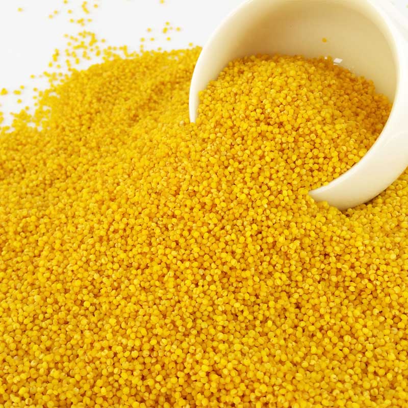 红谷小米大野有机东北农家粗粮五谷杂粮真空400g小米