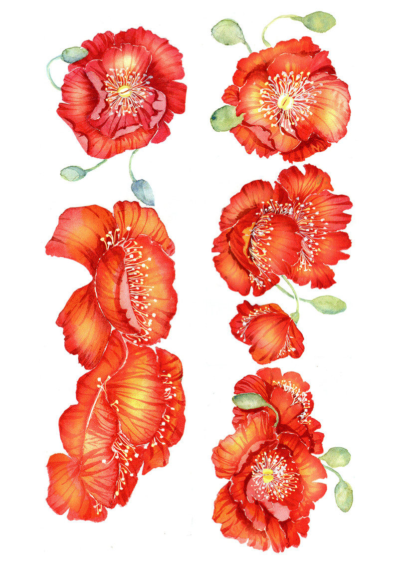 自制花花花朵合集a4不干胶手帐贴纸手账素材贴纸