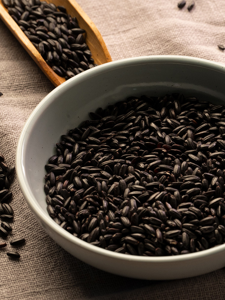 黑米五常大米五米常香官方旗舰店正宗东北糯米米饭胚芽米