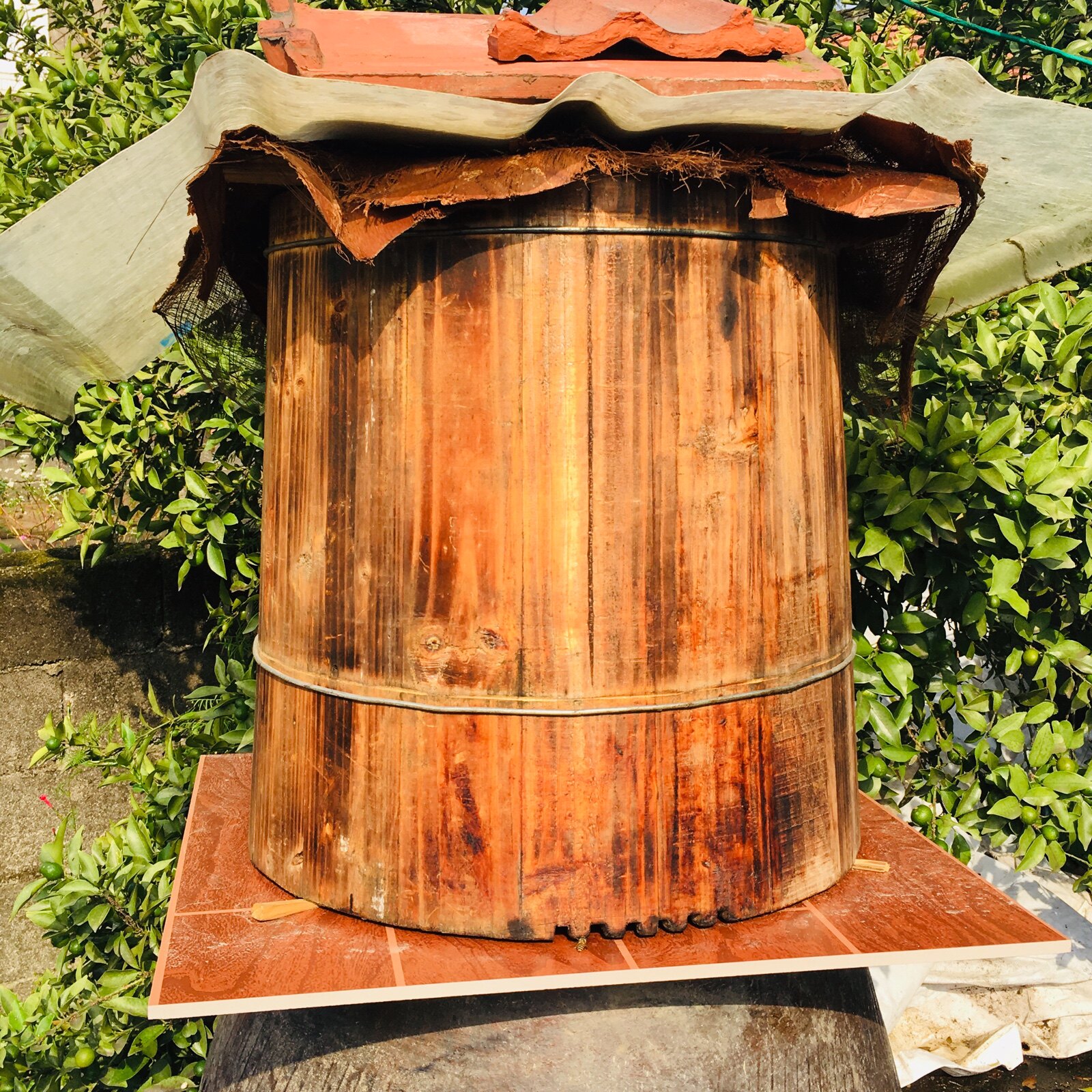 大圆特招蜂圆桶蜂箱养殖桶蜂桶木桶蜜蜂工具大中蜂传统圆形老式诱