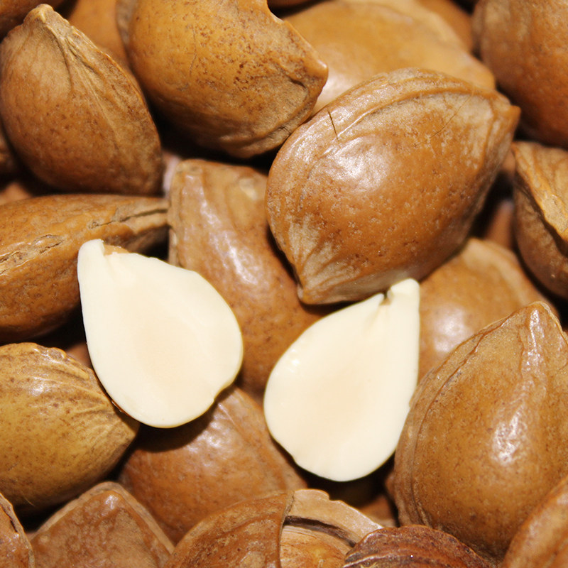 杏核小银新疆特产手剥小白开口带壳炒货坚果小银杏