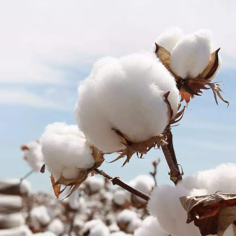 地毯簇绒枪毛线电动织枪优质长绒棉线手工diy缝纫diy材料套装