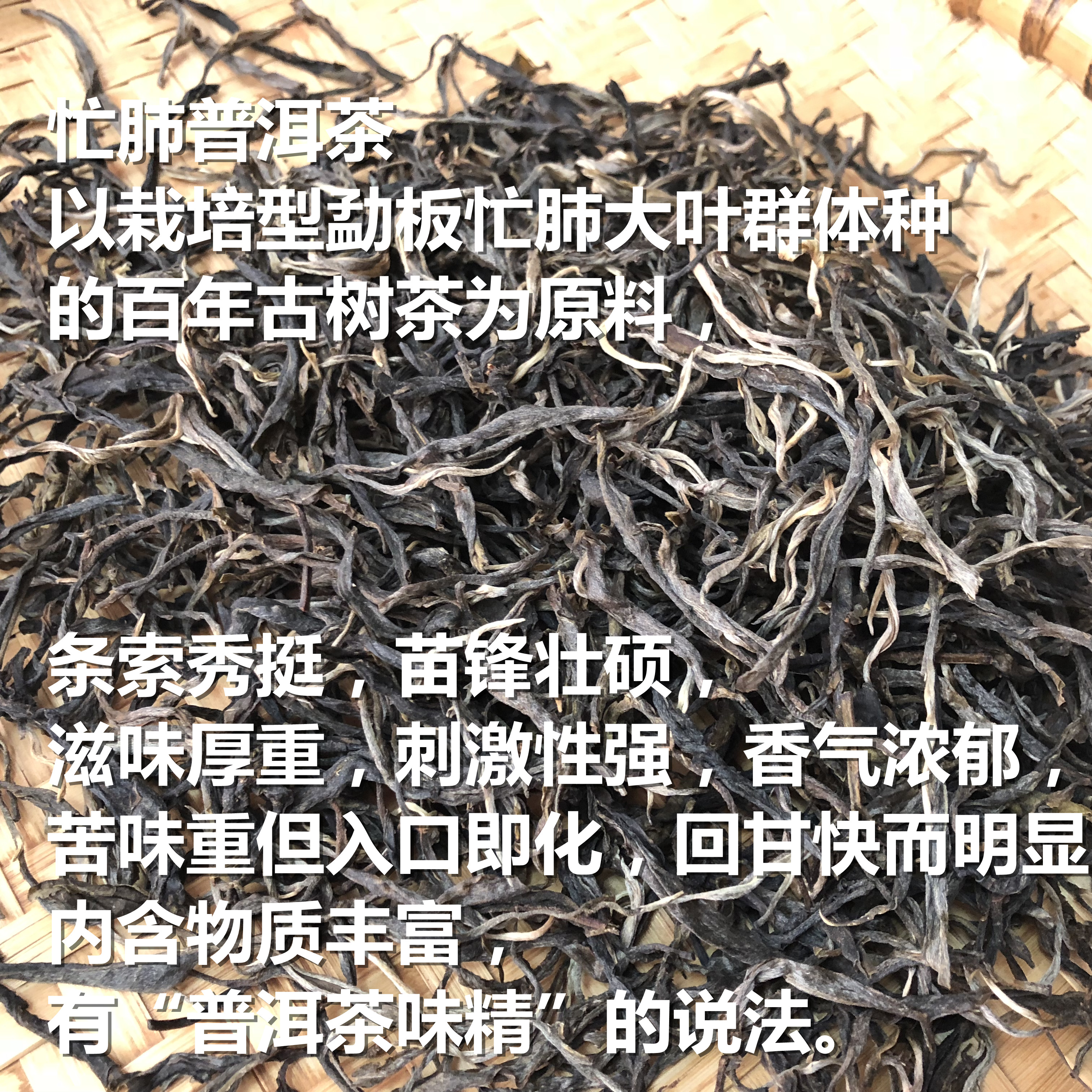 忙肺2019年春茶古树生茶永德忙肺村茶农直卖250g普洱
