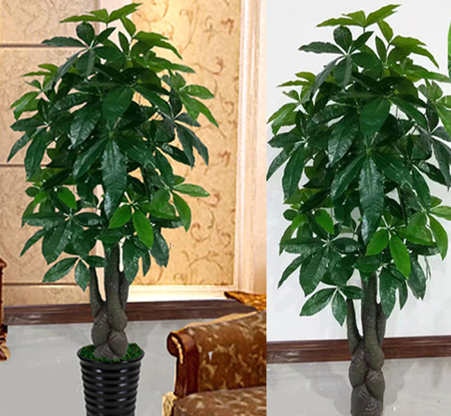 假树仿真大型盘龙发财树客厅大盆盆栽招财植物仿真绿植