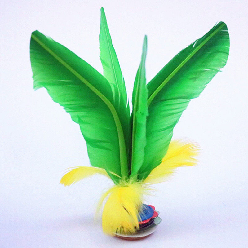 毽子小学生耐踢幼儿园火翎鸟键子