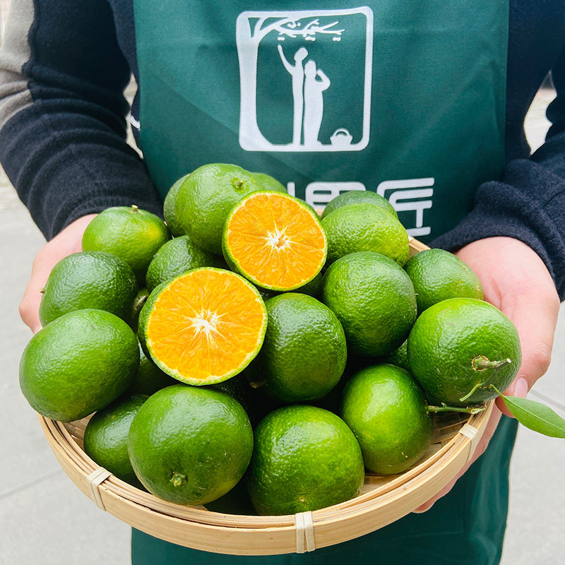 迷你水果新鲜青皮礼盒桔子顺丰包邮清香广西桔子