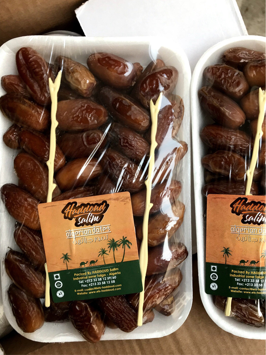 阿尔及利亚迪拜进口椰枣dubaiarabalgeriandates500g枣类制品