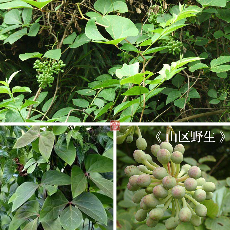 血通片500g野生血通红藤脑血藤大血藤血通泡酒泡茶泡脚无硫血通片