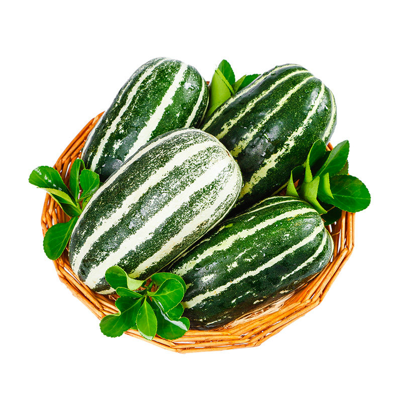 正宗山东博洋9号甜瓜5斤水果新鲜当季整箱甜瓜