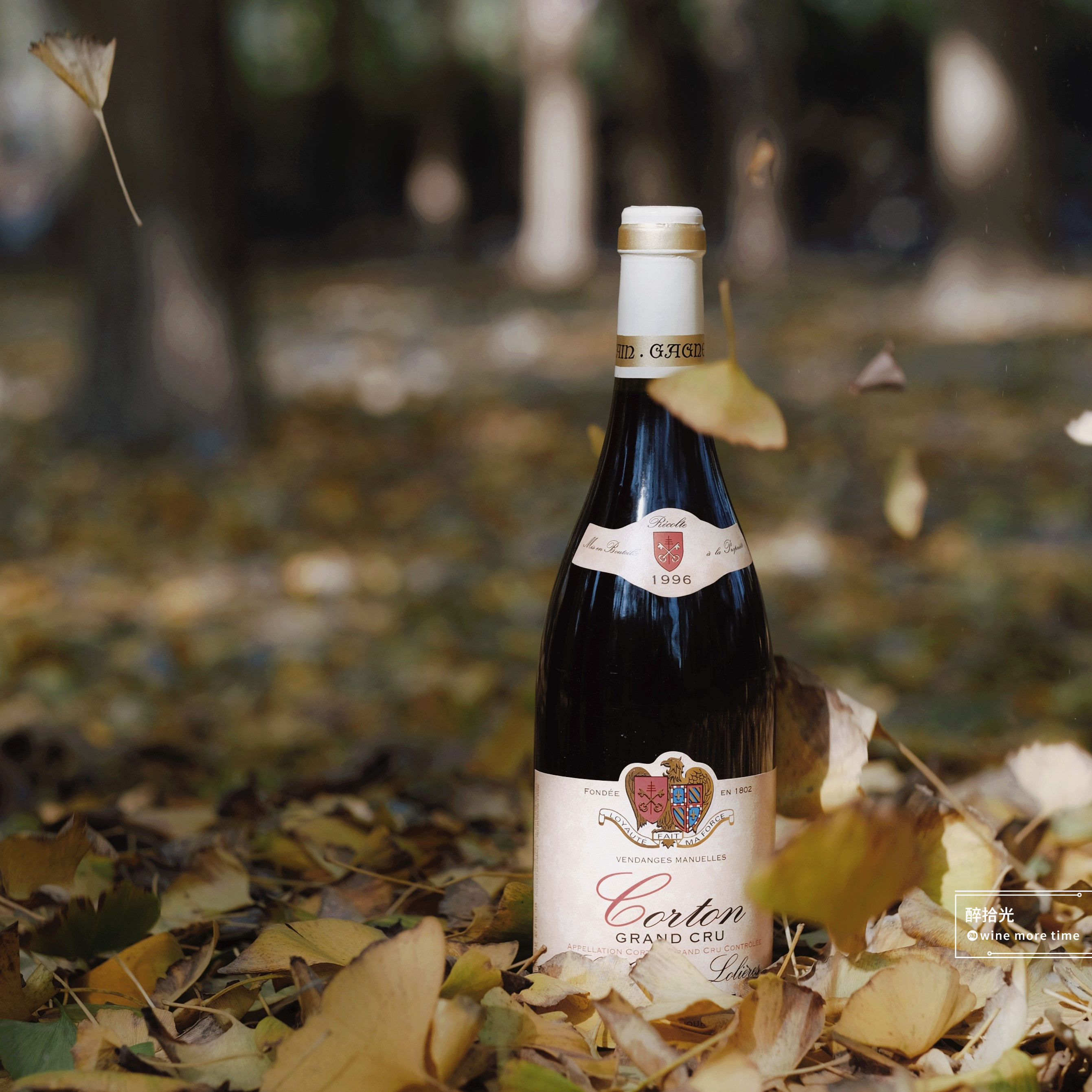 年份藏家特级园科通黑皮老年1996挚爱第顶勃艮干红静态葡萄酒