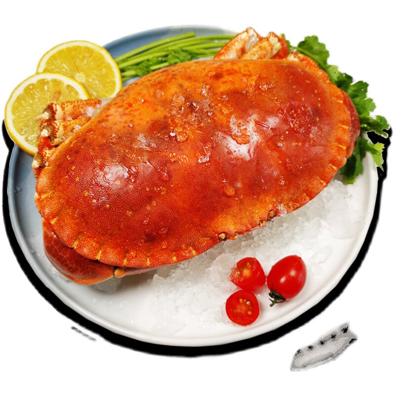 蟹黄特大面包黄金黄道蟹熟冻大螃蟹帝王皇帝帝王蟹