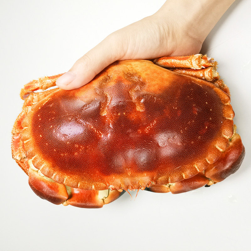 蟹黄特大面包黄金黄道蟹熟冻大螃蟹帝王皇帝帝王蟹