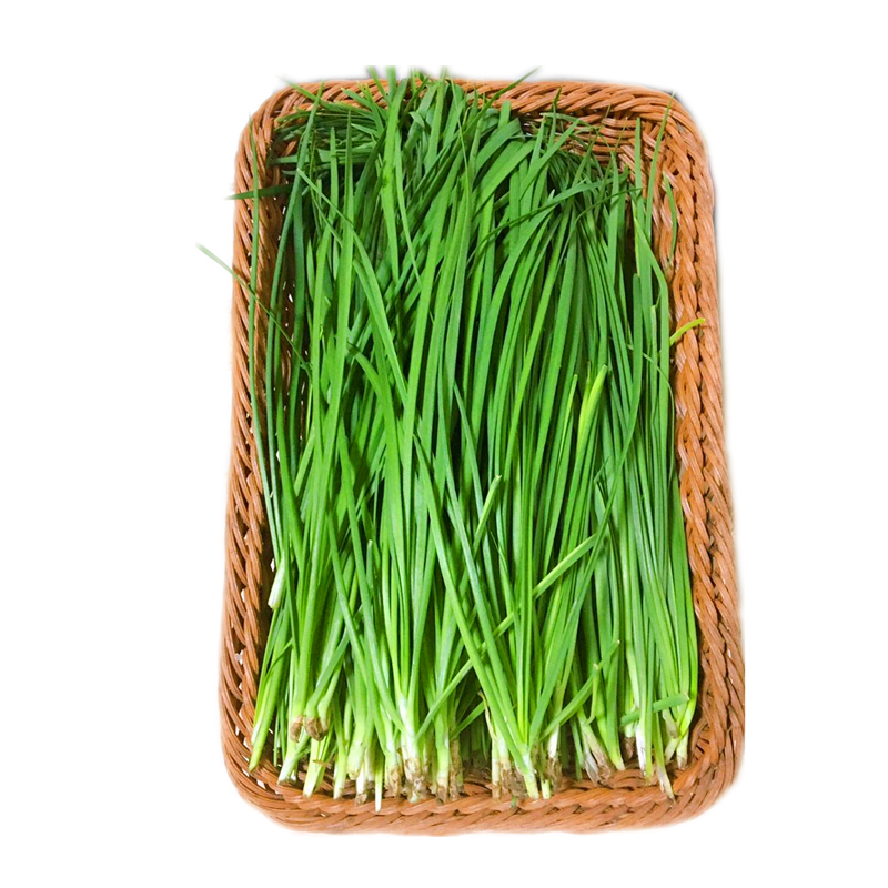 湖北农家自种新鲜时令露天韭菜现割鲜嫩小韭菜包子饺子馅2斤包邮