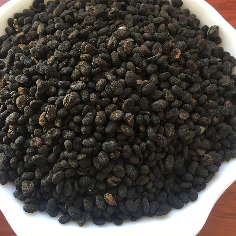 补骨脂中药材500克破故纸黑故子