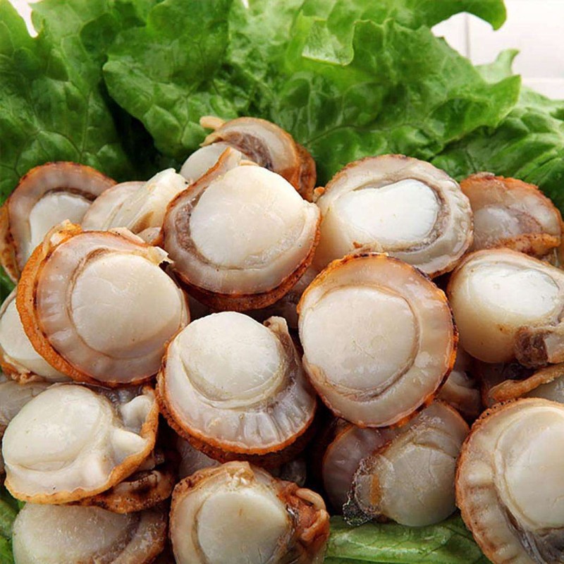 百盛千鲜冻煮裙边贝帆立贝虾夷扇贝元贝半成品贝类制品
