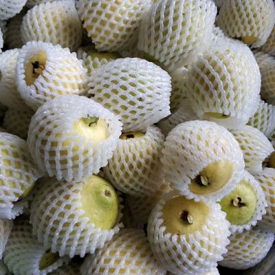 5斤德宏老缅桃老品种番石榴白黄糯心小水果嘛哩芭乐 原价49元 现价49