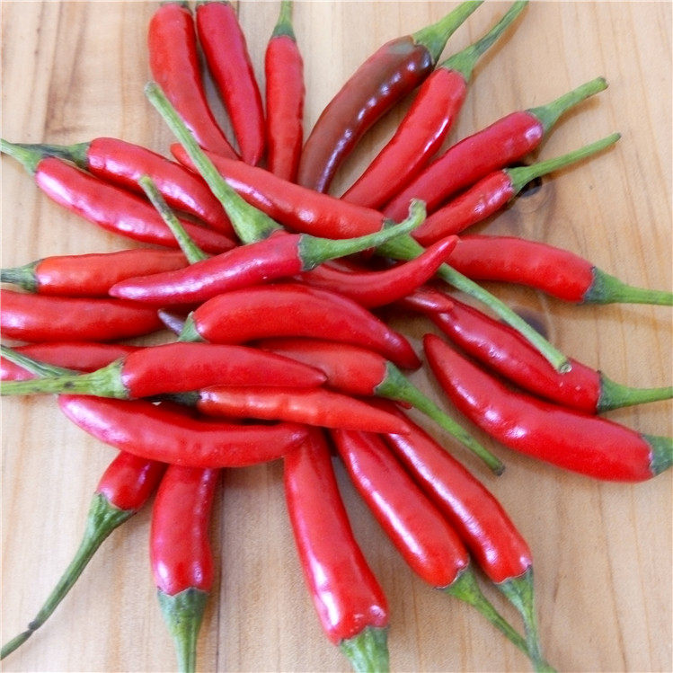 德宏傣家小米辣1斤 新鲜现摘 超辣小红辣子 撒苤过手米线调味辣椒