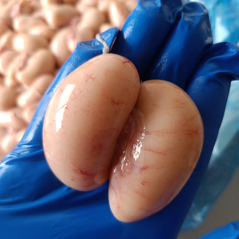 子鸡新鲜鸡腰卵子公鸡睾丸蛋蛋蛋鸡春鸡500g其它