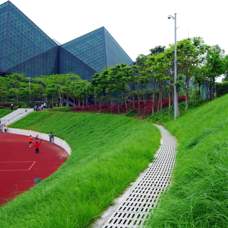 自行车灯青蛙灯儿童滑板车led硅胶警示灯童车led灯平衡车夜骑尾灯