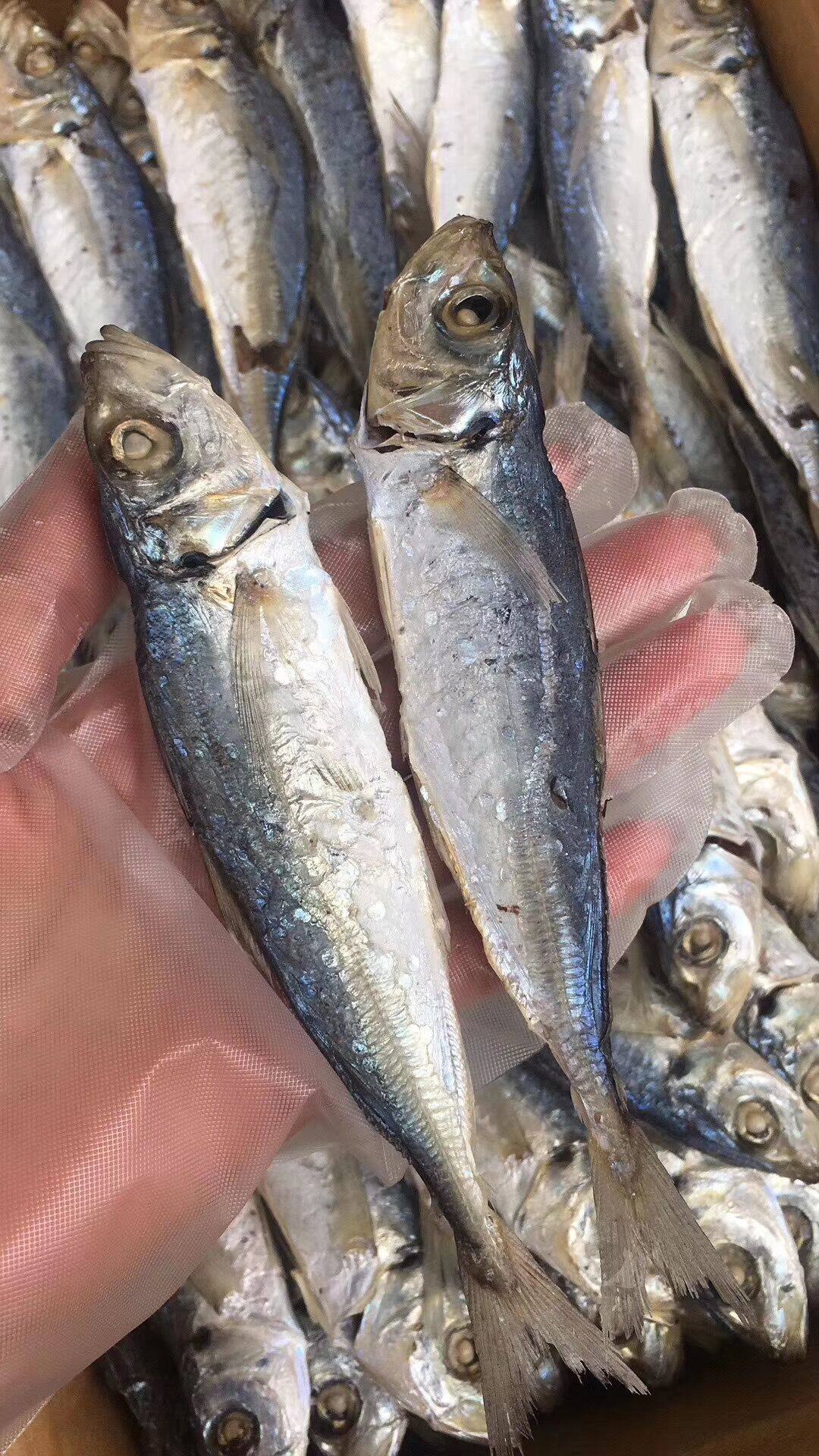 潮菜饶平特产野生浪鱼干即食鱼小吃零食咸鱼鱼干