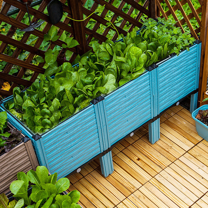 阳台种植箱庭院菜园长方形塑料蔬菜种菜槽户外楼顶特大款家用花盆