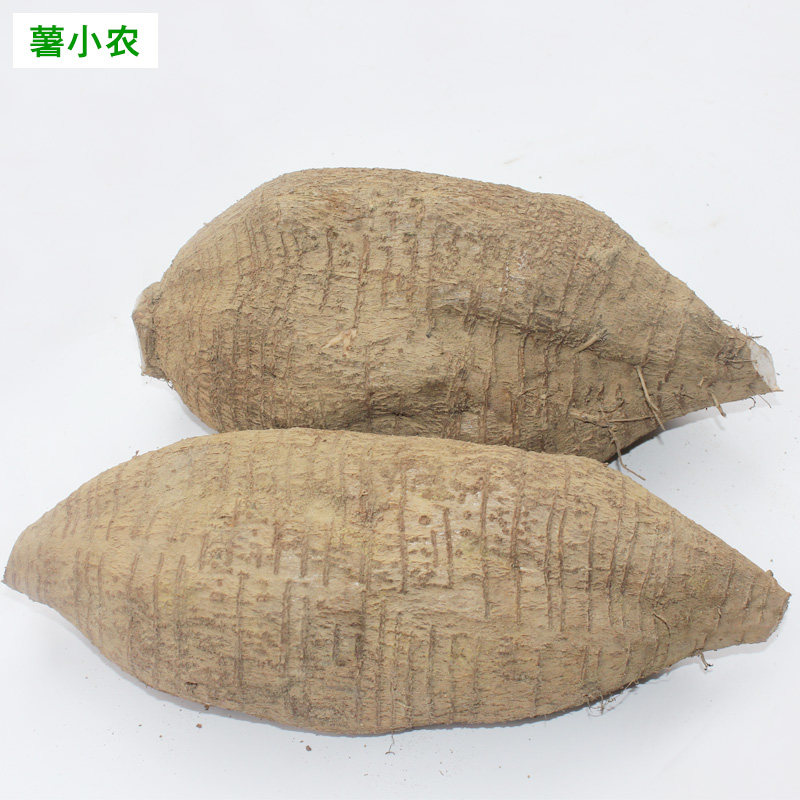 粉葛新鲜煲汤葛根葛薯黄葛广东增城现挖甘甜其它