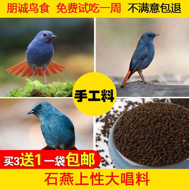 鸟食石燕朋诚鸟红尾喉北红灰林水鸲提性大唱颗粒鸟食