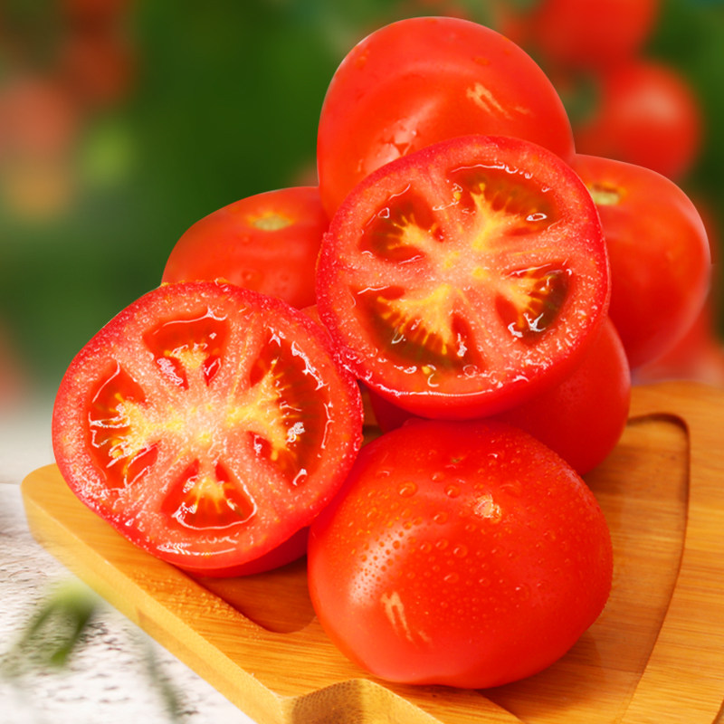 绿行行者红又红番番茄5斤西红柿新鲜自然孕妇番茄