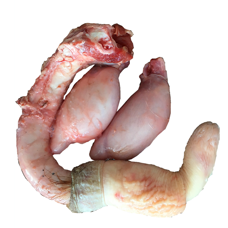 鹿灵子鹿鞭干整根整枝鹿鞭干整根新鲜正品男用人参泡酒料男性配方