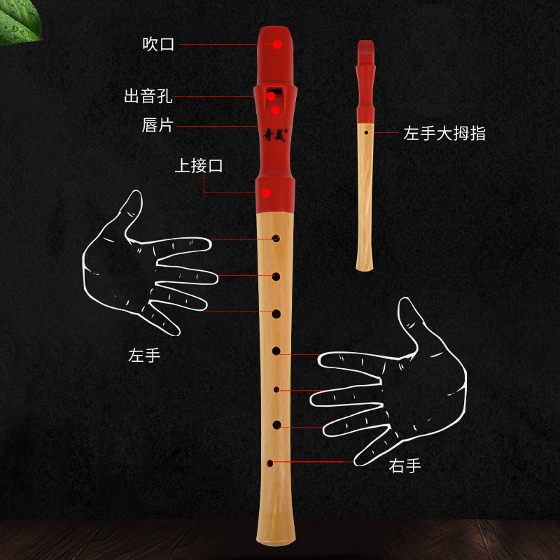 奇美八孔用孔学生初学者儿童成人笛子竖笛高音竖笛