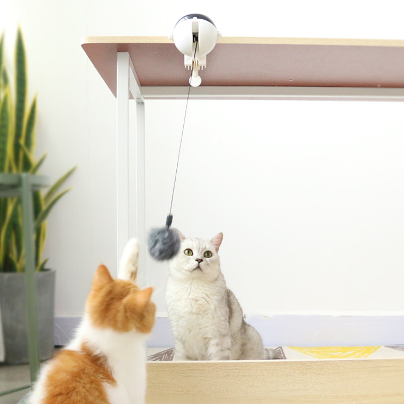 玩具懒人猫猫猫球自动逗猫器逗神器自嗨电动猫逗猫棒